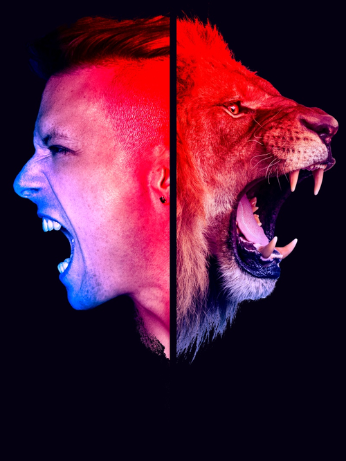 When You Roar