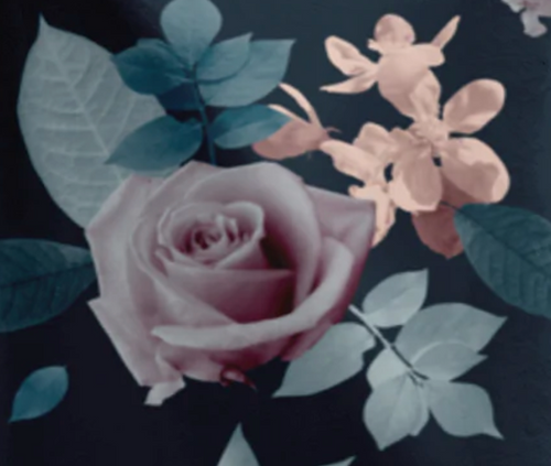 Vintage Roses Kollektion