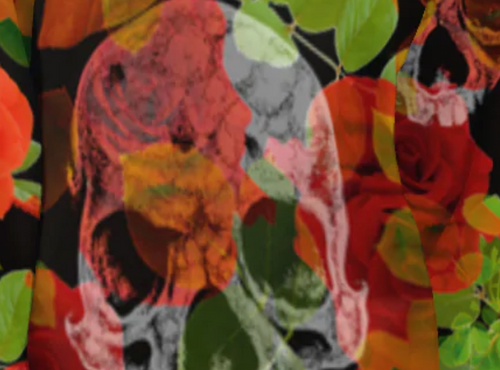 Flowers and the Skull