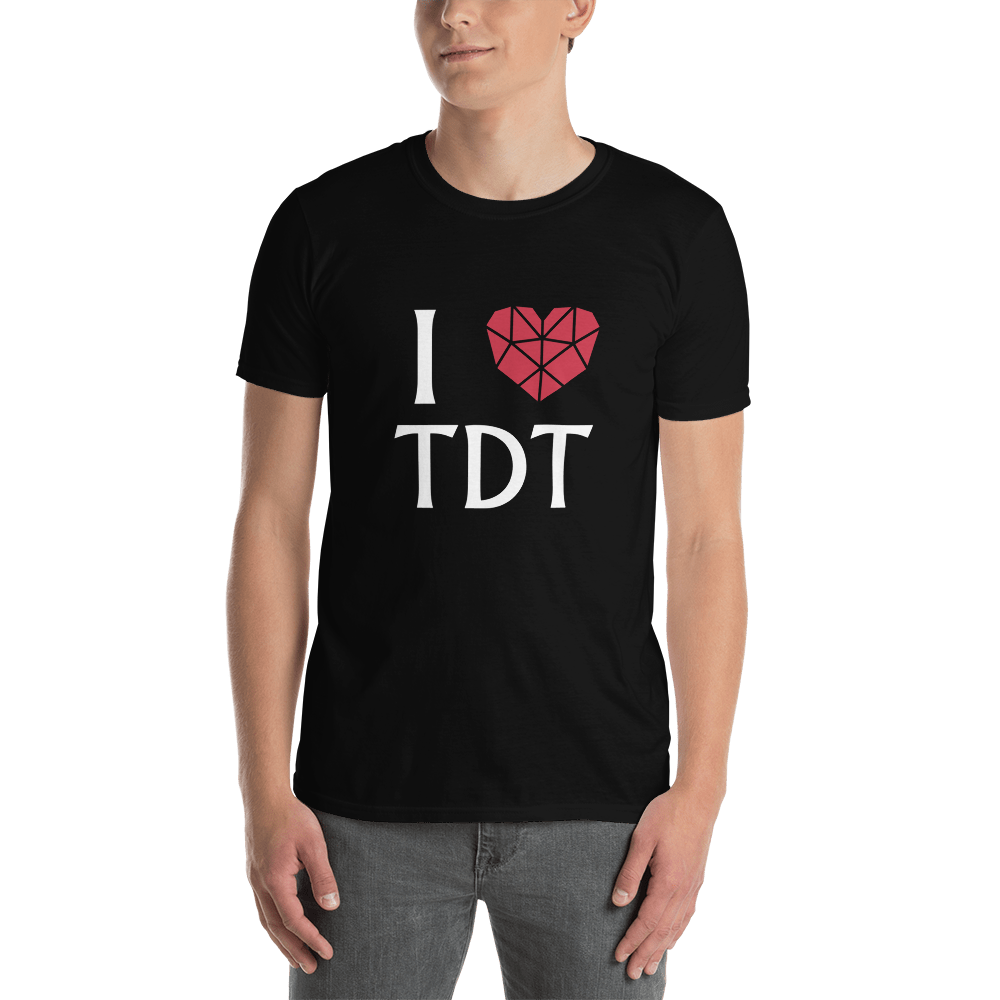 T-Shirt Herren - I Love TDT