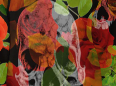 Flowers and the Skull
