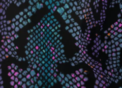 Purple Snake