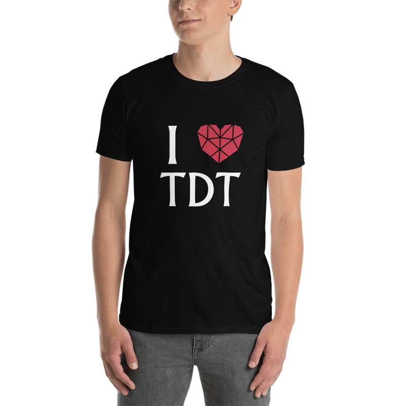 T-Shirt Herren - I Love TDT