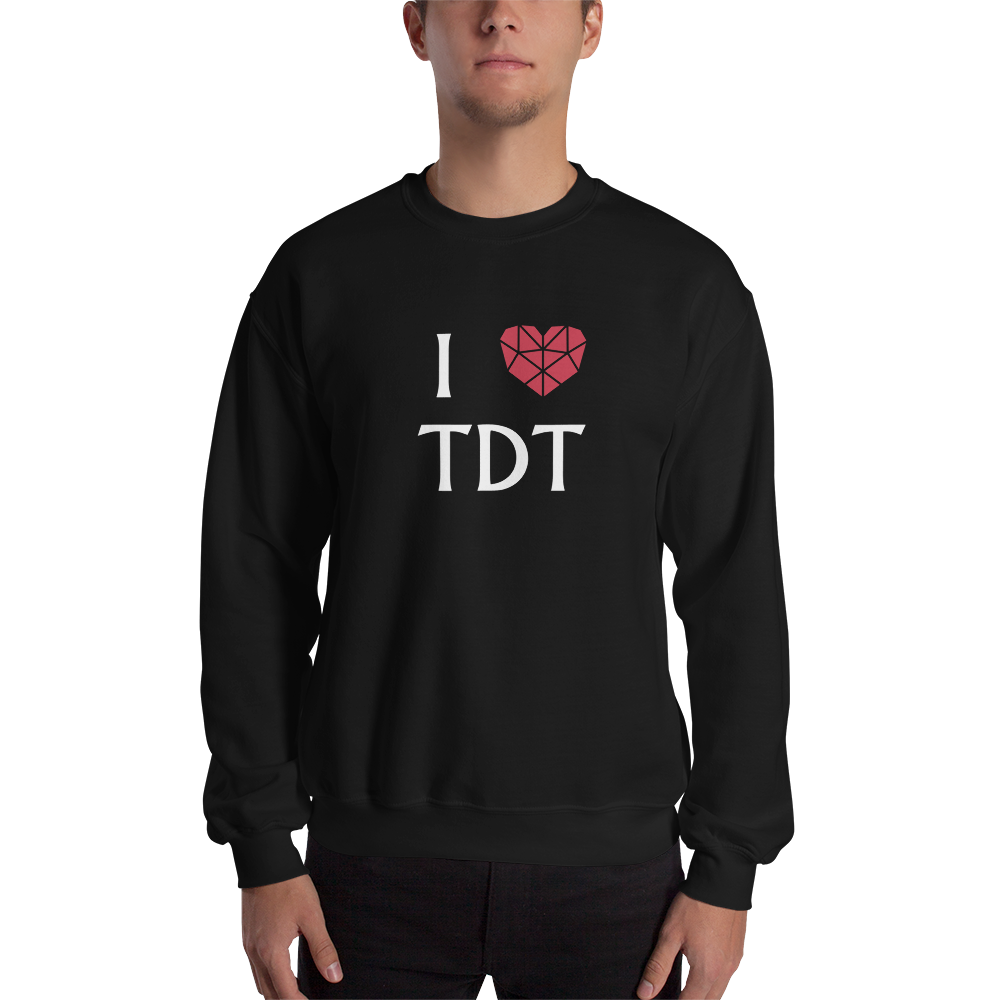 Pullover Herren - I Love TDT